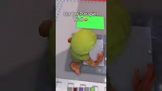 BRR PATAPIM TROLL in Steal a Brainrot Roblox Update (No Script): Noob to Pro Guide #stealabrainrot