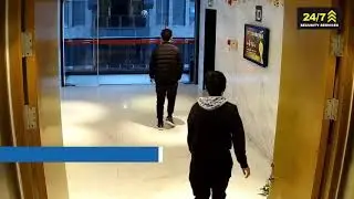 AI Security Solutions
