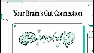 The Vagus Nerve: Gut's Bridge to Brain Plasticity and Neurogenesis (Cryan et al , 2019)