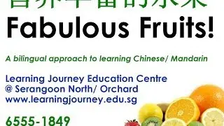 Have fun learning Chinese Singapore I love fruits 我爱水果 www.learningjourney.edu.sg