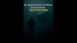 GALEOPHOBIA, &egrave; la paura degli squali. #shorts