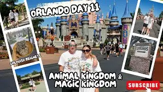 ORLANDO DAY 11 - ANIMAL KINGDOM ROPE DROP | MAGIC KINGDOM | FRENCH QUARTER BEIGNETS | DISNEY SPRINGS
