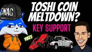 TOSHI COIN Down BUT Is It Still a Good Investment?