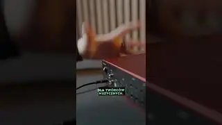 Focusrite Scarlett 16i16 4th gen