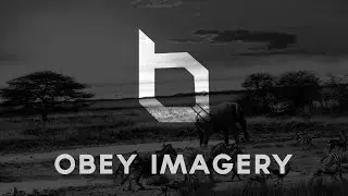 ~rc obey imagery