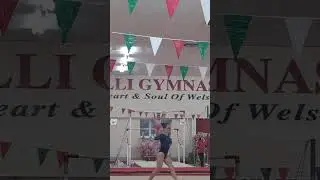West Wales champion age 10 bar routine development 1