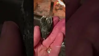 Nature Crafts: Making Charcoal Ink #shorts
