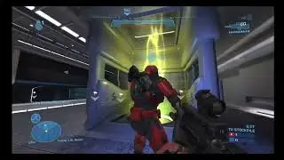 Halo shenanigans