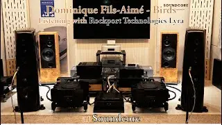 Dominique Fils-Aimé - Birds (Rockport Lyra w/ Gryphon)