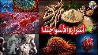 الجينسنغ الهندي | فوائد الأشواجندا | عشبة فيتانيا الكسولة #اشواجندا #اكسبلور  #ashwagandha