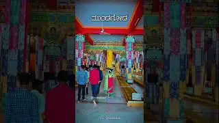 #mundgod Tibetan camps 🤩 best places in mundgod #virelvideo #subscribe #likesharecmnt #views