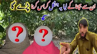 Inse bachne ke liye yah Jungle cross karna Pary ga 😱