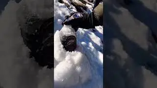 old monk + winter ❄️ #shorts #trending #viral #oldmonk #winter #manali #tiktok #trendingshorts