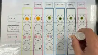 ラミネで簡単！水溶液の性質（酸性・中性・アルカリ性）を確かめる実験
