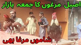 Murga Market | Aseel Murgon Ka Jumma Bazar | Aj Shamu Murga Bhi | Tower Market | Hyderabad 
