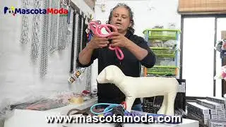 Slip lead trailla correa cord&oacute;n para perros