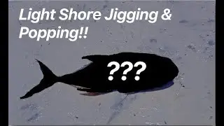 Surf Fishing at Vero Beach!