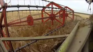 [GoPro] Claas Mercator l Sommergerste Dreschen  2014 HD+