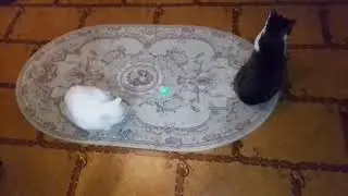 ДАЖЕ 