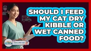 Should I Feed My Cat Dry Kibble Or Wet Canned Food?