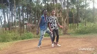 Golden ark dancing caple dance