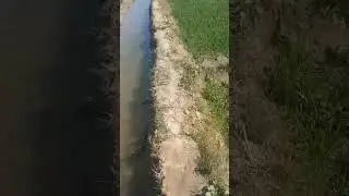Ja rahe ho December #ytshort #fieldvideo#short#viral#