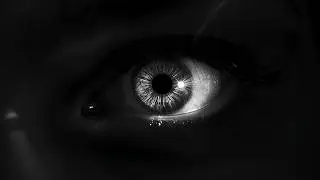 PRONOIA &mdash; The Universe is Conspiring in Your Favor