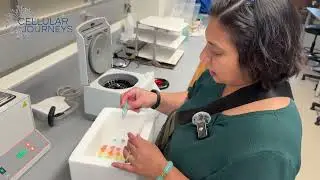 Cell Disruption Techniques for Protein Prep (Beginner-Friendly Lab Tutorial)