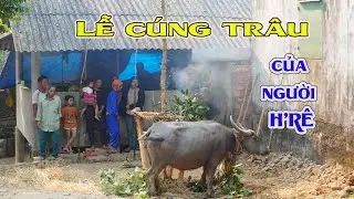 Lễ cúng độc đáo của người dân tộc H'rê tỉnh Quảng Ngãi_Tập 01