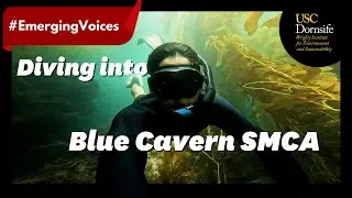 Diving into the Blue Cavern State Marine Conservation Area