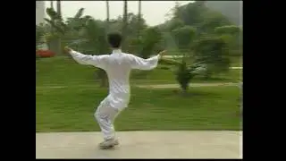 Xing I quan intermediate weapons forms 4