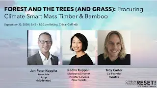 FOREST AND THE TREES (AND GRASS): Procuring Climate Smart Mass Timber & Bamboo