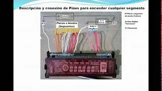 DISPLAY FLUORESCENTE -  Descripción de Funcionamiento y Conexión