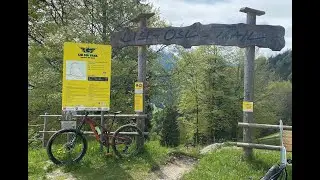 Lisi Osl Trail Kirchberg toptobottom uncut 3.6.2023