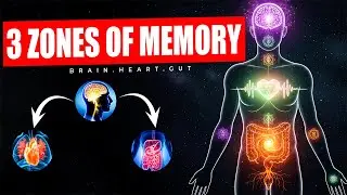 3 places where Memory can happen from