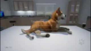 My Life: Pet Vet Very Cool Game! PS4 20230706222939