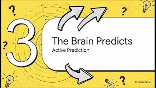Neural Plasticity and the Dynamic Architecture of Human Thought