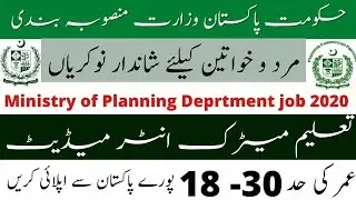 Government of Pakistan Ministry of planning jobs 2020