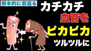 【若年寿命を伸ばす】死亡リスクを下げる！動脈硬化の進行を防ぐ体操！
