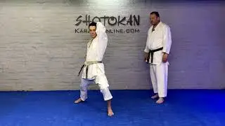 Brown Belt Syllabus Shomen Hanmi With 6 Stationary Strikes
