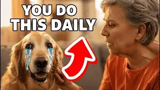 The TRUTH: Why Your Dog Thinks You DON'T Love Them (And How To Fix It)