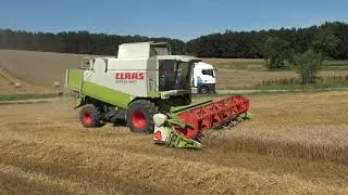 ŽNĚ / HARVEST 2022 - ŽITOVEC / TRITICALE CLAAS LEXION 460, CASE 160 + MASSEY FERGUSON +  MAN TGX 470