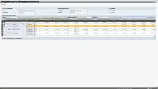 Die neue SAP HCM Personalkosten Detailplanung mit EHP5