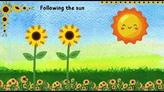 Sunflower Sunshine: JOIN IN!