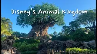 Disney's Animal Kingdom Theme Park