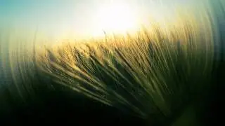 satella - Vestiges