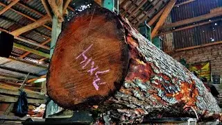 Simple Technology, Giant Results: The Traditional Sawmill || Lumber Mill