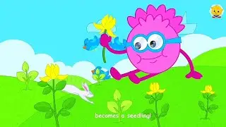 The Plant Life Cycle Song 🌱🌻 | From Seed to Flower | Science for Kids