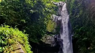 Calm River Sounds with Birds | Fall Asleep Instantly (8 Hours)