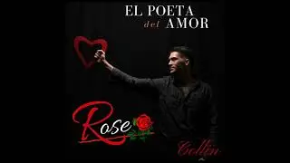 Collin - Rose